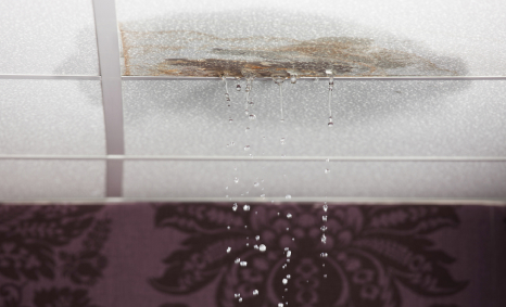 Plumber Smeaton Grange